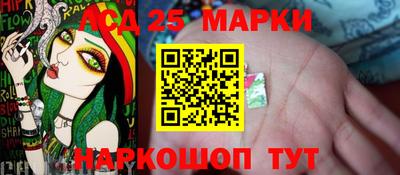 гашик Кимры